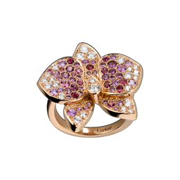 CARESSE D'ORCHIDÉES PAR CARTIER戒指