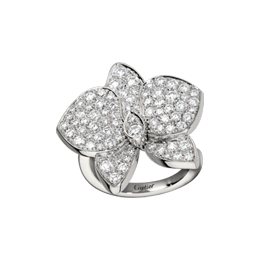 CARESSE D'ORCHIDÉES PAR CARTIER戒指